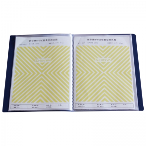 鄭州樂(lè )康醫療_山東新華新華牌B-D試驗真空測試圖BY1341