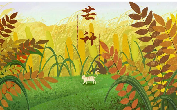 芒種的起居養生！