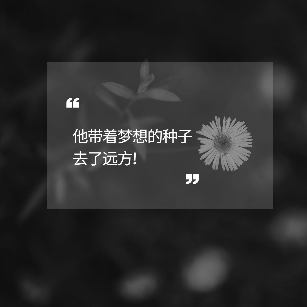 袁隆平用一粒種子的力量改變了世界！