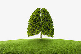 使用睡眠呼吸機，有哪些要注意的？