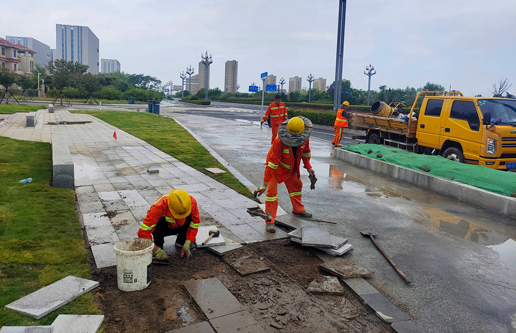 8c0a833b869626bbc1c79a2a5fede727