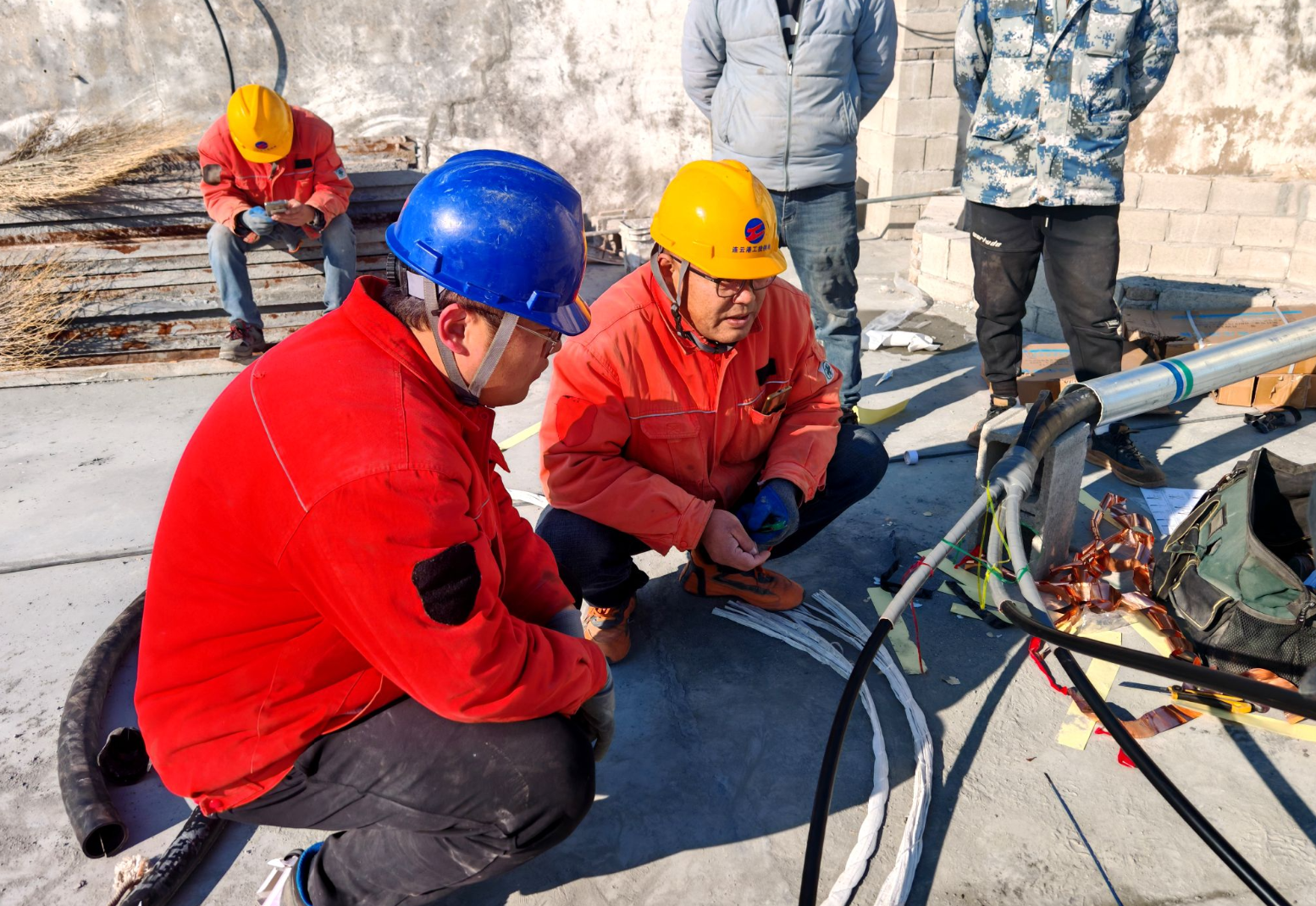 1765156523409 3e8a6d71-c57d-4e1f-bd07-f01c89475504